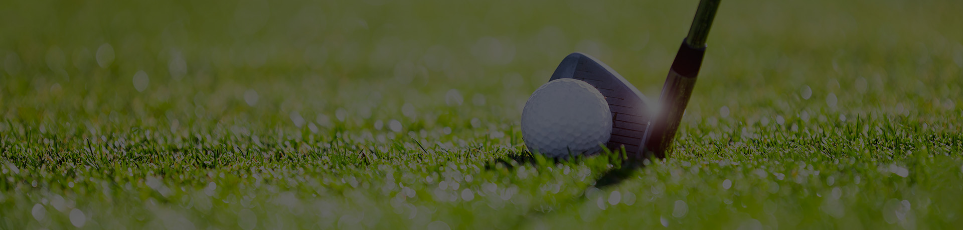 Image of a golf club and ball